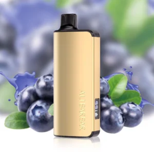 ALIBARBAR INGOT 9000 - Blueberry Mint