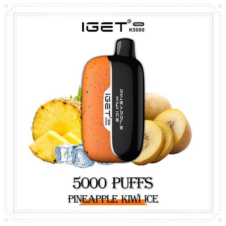 China Iget Moon K5000 Disposable Vape Factory Price Suppliers Manufacturers Factory - IGET