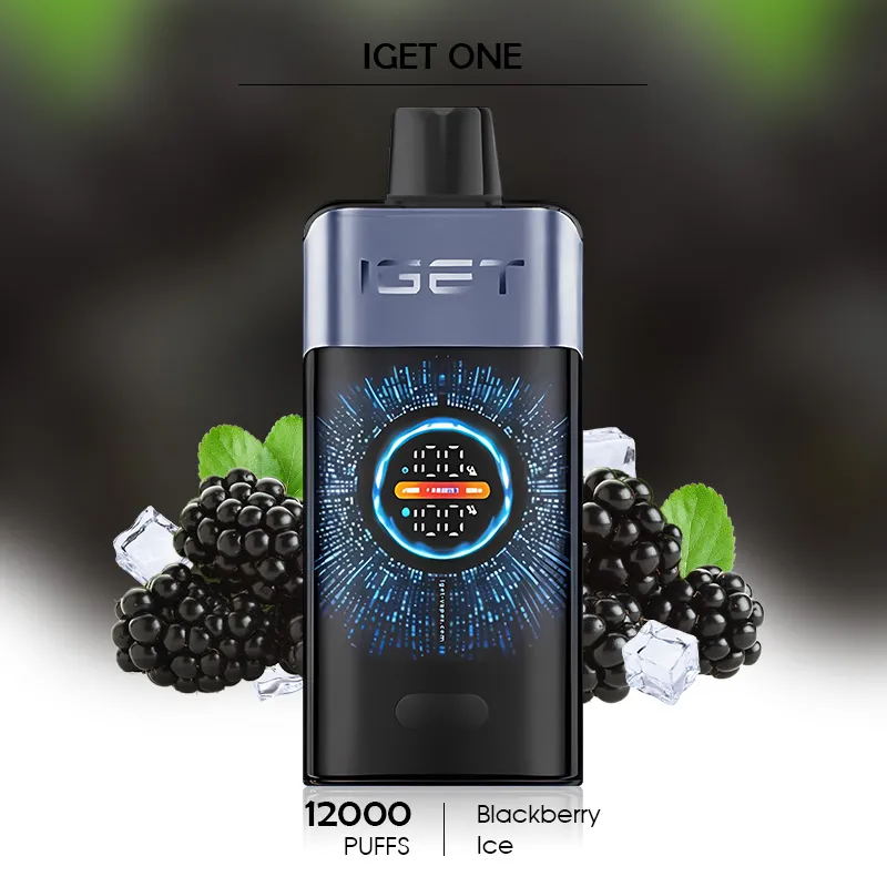 IGET One 12000 Puffs Review: Testing the "Double Mesh" Technology